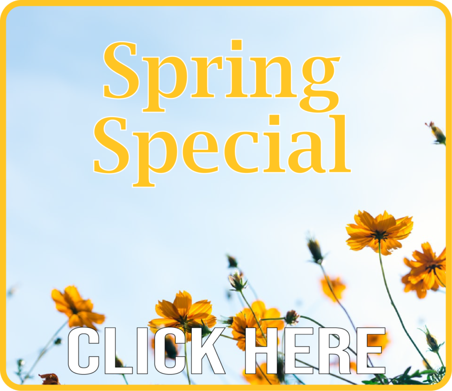 Spring Special2